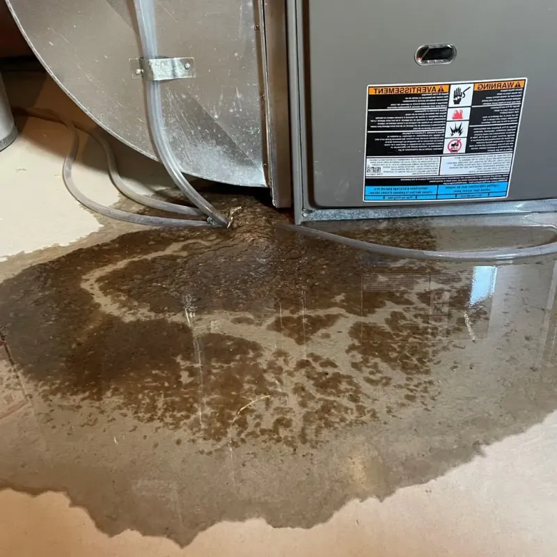 Pipe Burst and Leak Restoration in Hampden, ME
