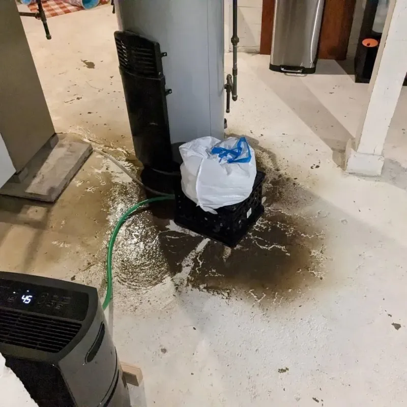Sewage Backup Cleanup Service in Hampden, ME